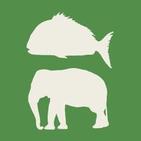 鯛象 (@mountaifish) Twitter profile photo