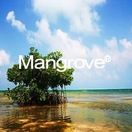 Mangrove TW公式アカウント。----南国育ちの自然食品,食材の卸販売。自然をテーマにした商品の販売。
沖縄 石垣島より南国の風をお届けいたします。Mangroveでは、顔の見える食品･食材･商品の提供･流通に取り組んでいきます。