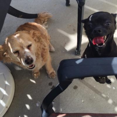 kdotcoleworld1's profile picture. yo yo yo yo yoyoyoyo yo yo yo yo yoyoyoyo yo yo yo yo, yo yo yo yo