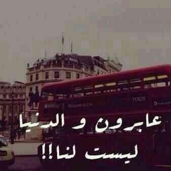 الحمدلله الذي جعلنا نعجز عن معرفة المستقبل
ليكون دائماً لدينا أمل أن غداً أجمل ... #ZDRSEDK4