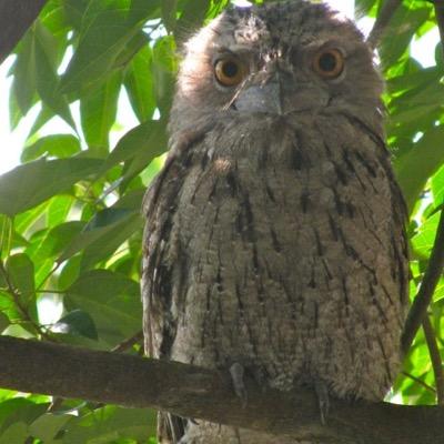 Reilly0110's profile picture. The views I express are my own.