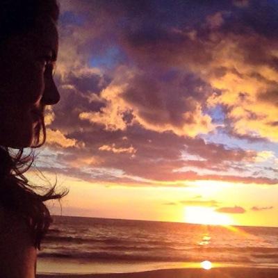 šŗšø hawai'i . oregon . florida . mississippi . roma š®š¹