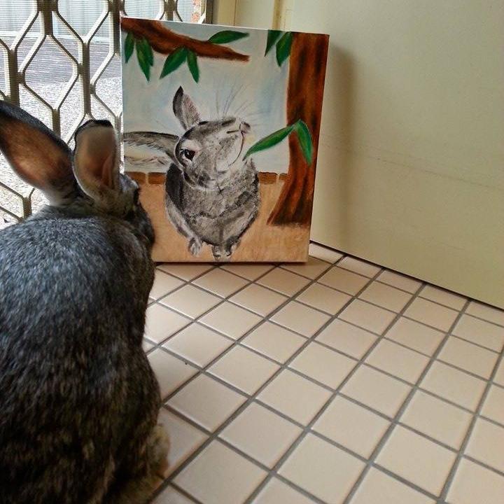 Want a painting of your pet to decorate the wall? For enquiries and quotes please check out my FB page or email paint_my_pet@hotmail.com. Enjoy!
