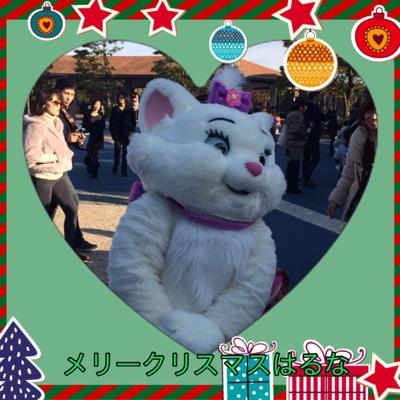 D垢初心者 千葉住み 98Line高1海単←イン友 ミート募集中 マリーが大好き♥︎\(^o^)/ 月1.2インー! フォローしてください! フォロバします笑