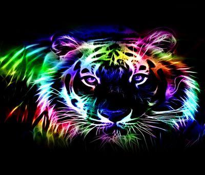 dbillings226's profile picture. 