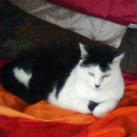 DumortierL's profile picture. 