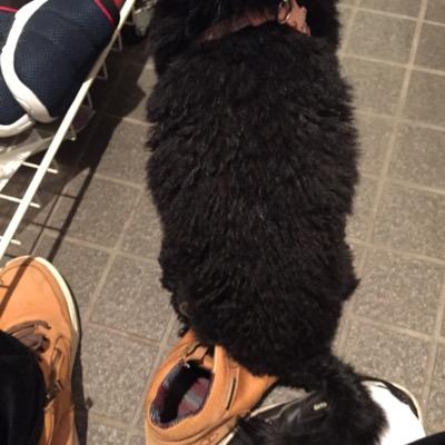 cso.csgo.cs.lolなどやってます。 前の名前はOo御坂美琴oO、 Prismaticキmoonでやってました知ってる人がいたらフォローお願いします フォロバー100%！
