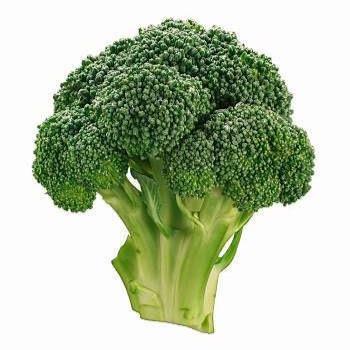 The Broccoli Gods appreciate your sacrifice ❤️