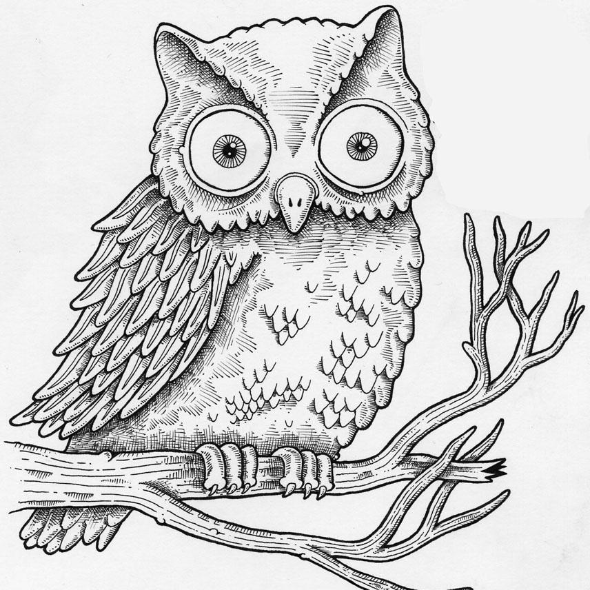 “The crow wished everything was black, the owl, that every thing was white.