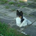 ida marie pedersen - @busterBusterida - Twitter