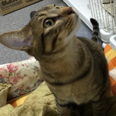 biera@垢移行