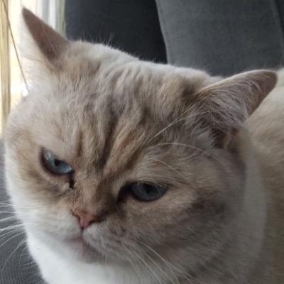 jacek_tweet's profile picture. 