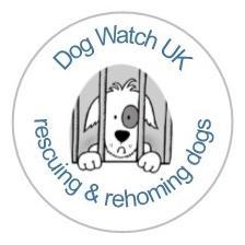 Dog Watch UK rescuing and re homing dogs “Once you have had a wonderful dog, a life without one, is a life diminished.” - Dean Koontz