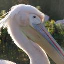 Kate Jeter - @kjetertweeter - Twitter