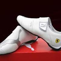 ProHauk's profile picture. 