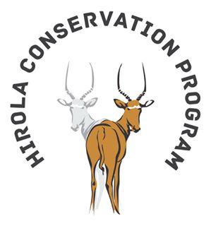 Hirola Conservation Profile
