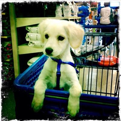 Charlie63748323's profile picture. 