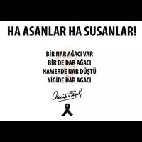 Osman (@konyases) 's Twitter Profile Photo