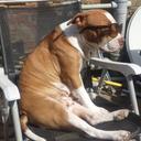 Alan Markowski - @Al_Canna - Twitter