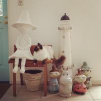 田代みずき (@mokaegg) 's Twitter Profile