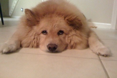 Dyltone's profile picture. 