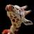 revdeniseppc's profile image