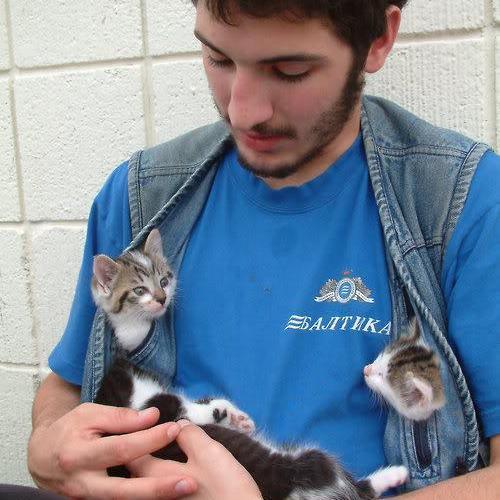 AvelBiez's profile picture. #rufollowback #sougofollow  #rufollowback