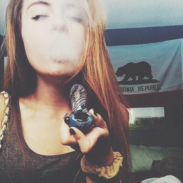 marijuanaco1's profile picture. 18/Istanbul