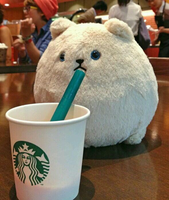 好きになったものはずっと好きです。