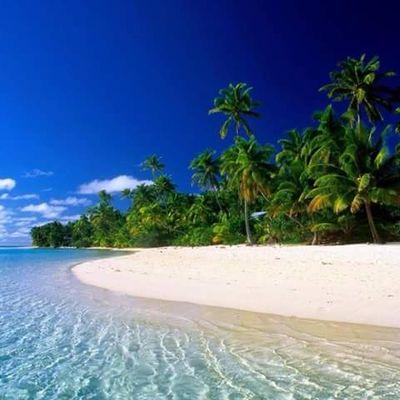 Tour & travel in bali