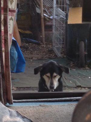 shima1680's profile picture. 