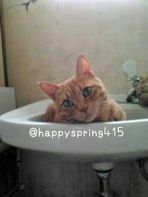 happyspring415's profile picture. 劇団暁大好き、恥ずかしがりやのおばばです。よろしくです。
