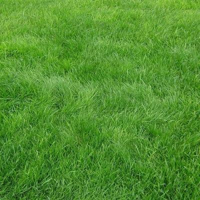 oussamadebbihi1's profile picture. 