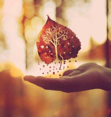 mervekurt_27's profile picture. 