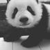 A Panda ヽ(*≧ω≦)ノ (@1fehling) Twitter profile photo A Panda ヽ(*≧ω≦)ノ (@1fehling) Twitter profile photo