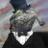 LizardPattrol's profile image