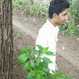Majid