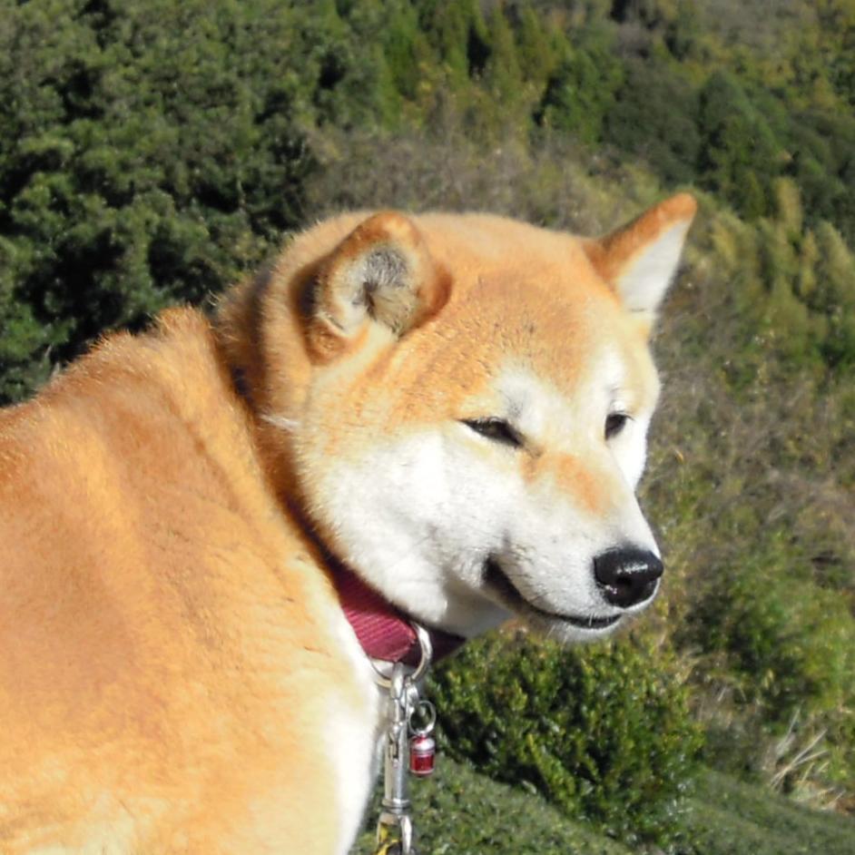 マーサ石川さんのプロフィール画像
