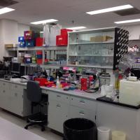McGavin Lab (@mcgavlab) Twitter profile photo