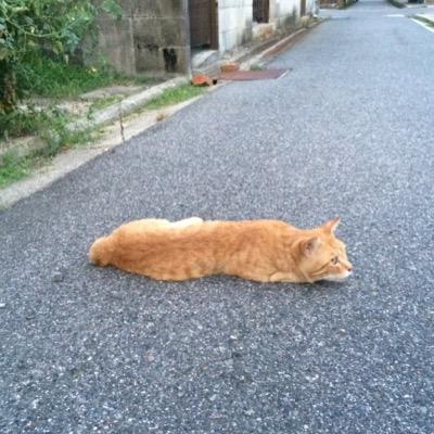ただのジャニヲタ　舞台観劇に行きたい社会人