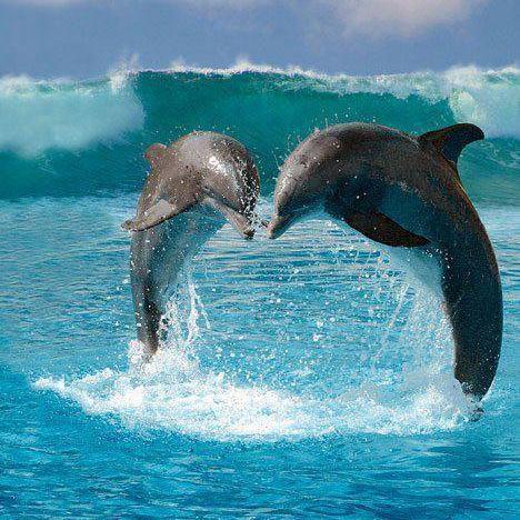 soledad7926's profile picture. 