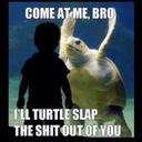 Mitchell Baldwin - @mitchybaldwin18 - Twitter