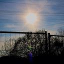 Dawn - @DawnLevitt - Twitter