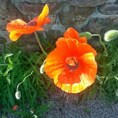 0e78c1a72e6b439's profile picture. 