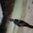hasnanaditya's profile image