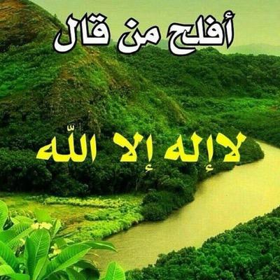 dhkhrfurudhr's profile picture. 