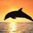 delfinop68's profile image