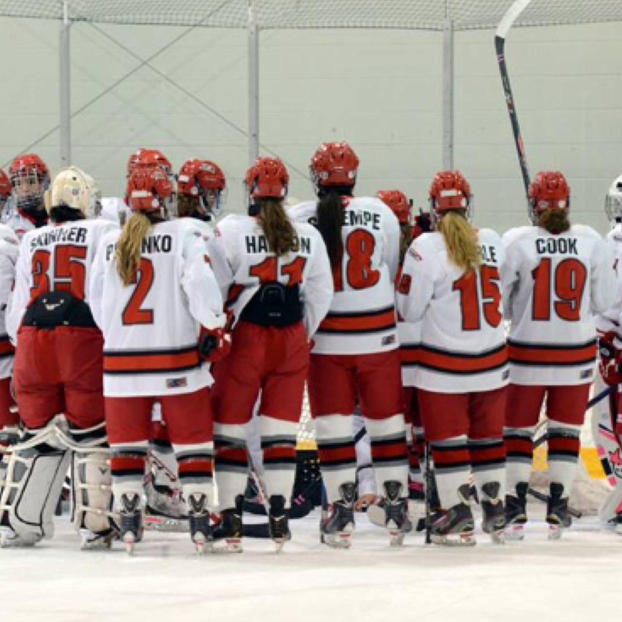 Okanagan Hockey Academy Female Prep U19 Team. Members of the Junior Womens Hockey Leauge (JWHL) |BUILDING A TRADITION|
http://t.co/Ntk2Nr48fq