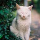 Caca21 (@231ae70c69604bd) Twitter