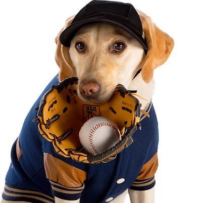 How can you not be romantic about abraçar pernoca and baseball?  - Não oficial, não encoleirado com a @MLB